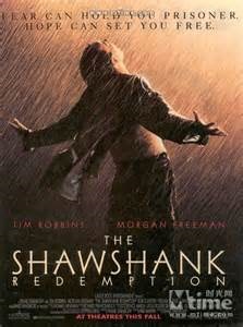 柴静名言被碟影重重收藏到生活感悟