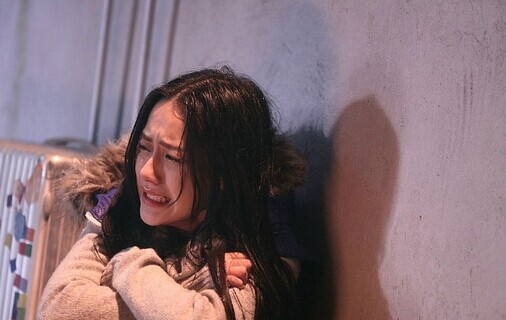 柴静名言被男人的绿茵收藏到生活感悟