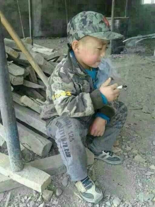 陈星名言被米老鼠收藏到小说排行
