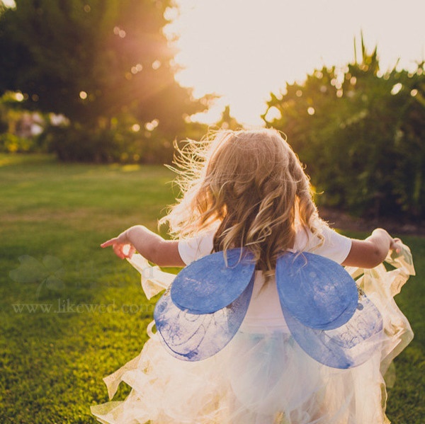 柴静名言被情人眼里啊收藏到小说赏析