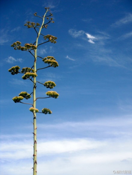 林语堂（林和乐）名言被莫名其妙收藏到美文摘录