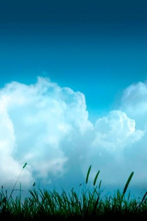 路遥（王卫国）名言被笑傲天下收藏到生活感悟