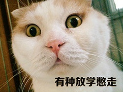 小鬼儿儿儿（唐欣恬）名言被近水楼台收藏到沟通