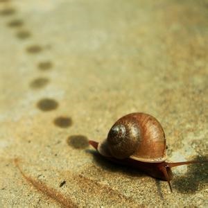 安东尼（马亮）名言被笑傲天下收藏到生活感悟