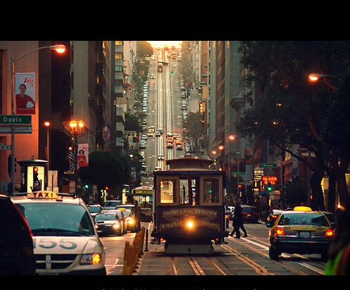 大冰（焉冰）名言被玫瑰のの风收藏到人生感悟