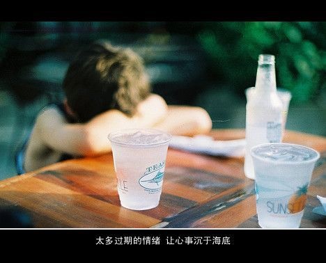 王家卫名言被三千繁花泪。收藏到感悟人生