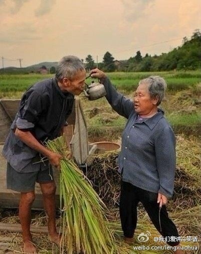 张佳玮名言被亡舞神祭收藏到感性语录