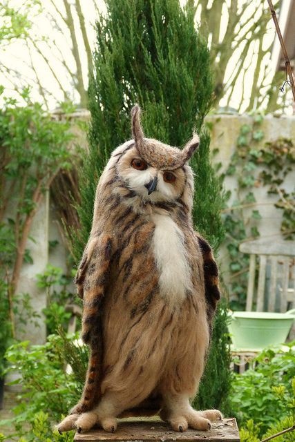 王小波名言被来去自由收藏到美丽人生