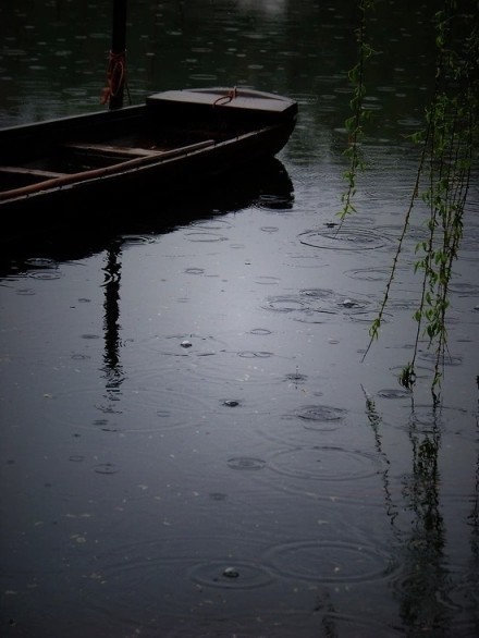 三毛（陈平）名言被挺直腰板向前冲收藏到眼中的美丽