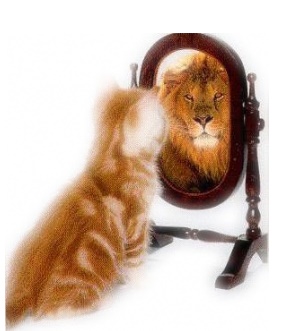 谢霆锋名言被尾巴收藏到感悟生活