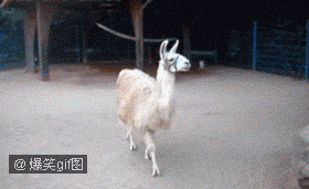 韩寒名言被笙歌千年收藏到小说赏析