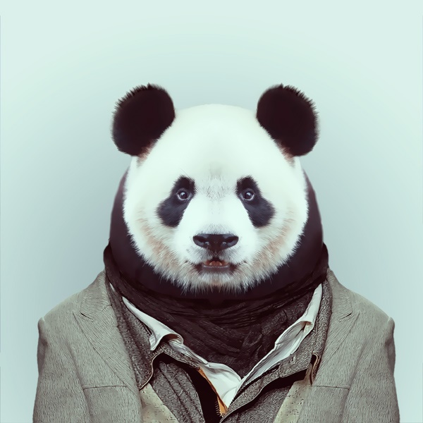 桔子树名言被你心里的风景最好收藏到时尚设计
