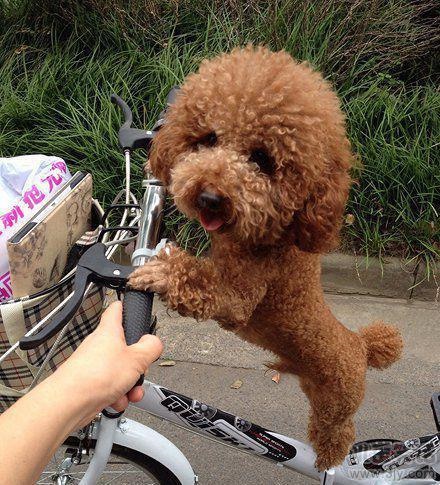 韩寒名言被华晋潞丹收藏到生活感悟