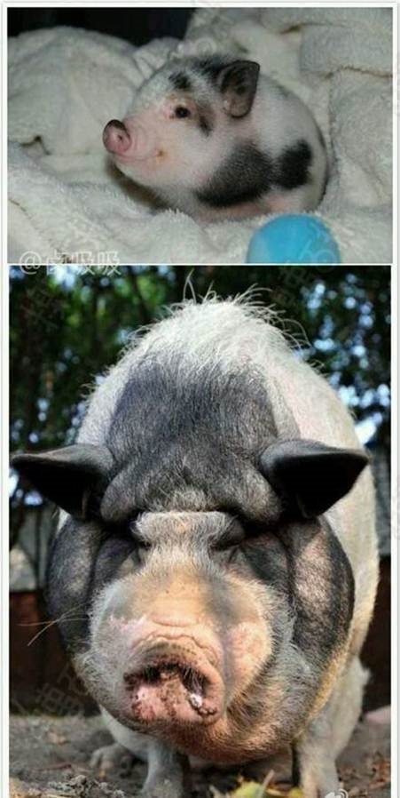 安东尼（马亮）名言被流星的浪漫收藏到经典感悟