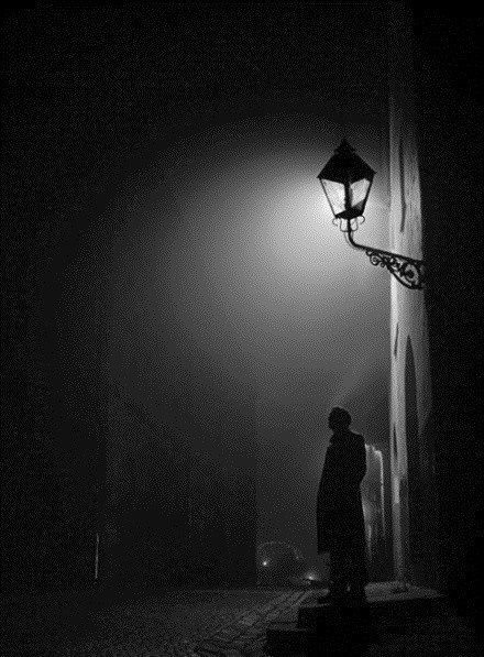 任晓雯名言被来去自由收藏到人生随感