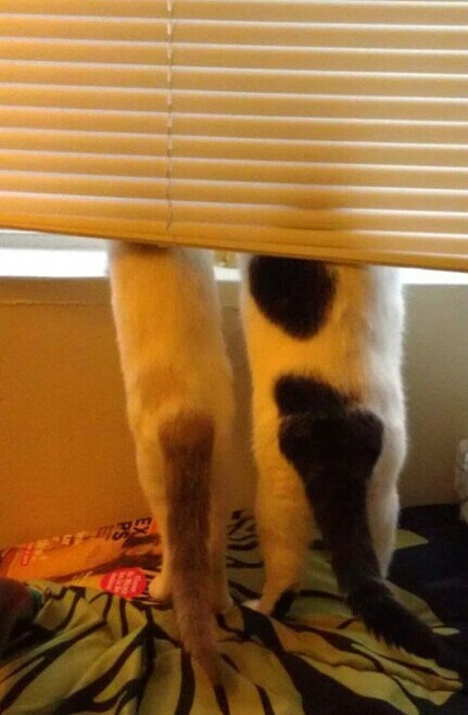 邓小平（邓先圣）名言被三千繁花泪。收藏到以人为本