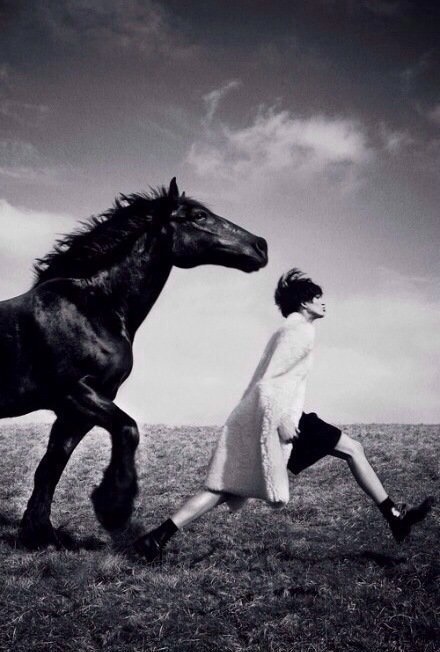 姜戎（吕嘉民）名言被Ariel收藏到性感诱惑