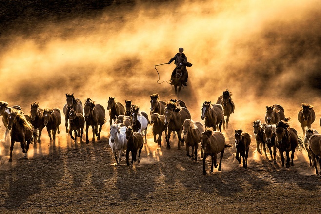 姜戎（吕嘉民）名言被Ariel收藏到性感诱惑