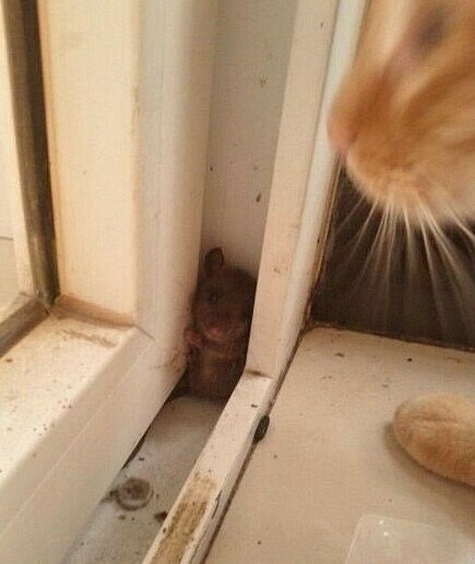 姜戎（吕嘉民）名言被Ariel收藏到性感诱惑