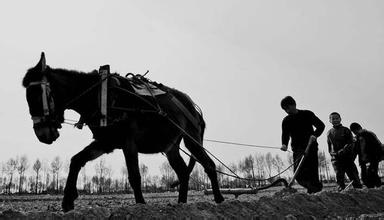 澄丰名言被家乐福海盗收藏到瞎说什么大实话