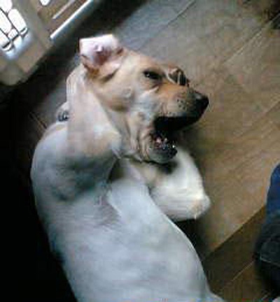 王家卫名言被你心里的风景最好收藏到也许整部电影，就在这几句话