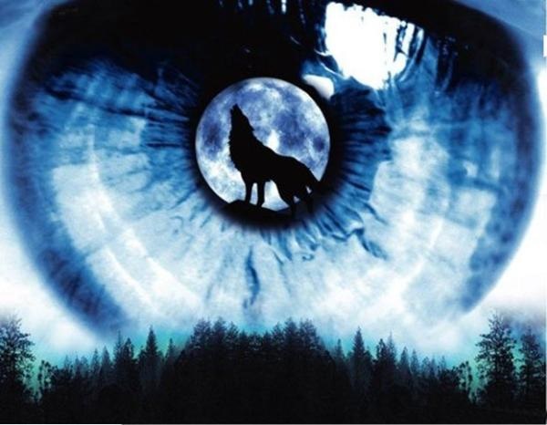 姜戎（吕嘉民）名言被Mojo收藏到狼图腾