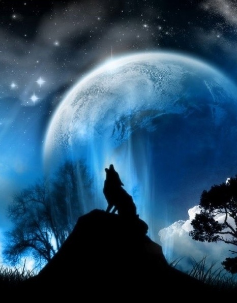 姜戎（吕嘉民）名言被Mojo收藏到狼图腾