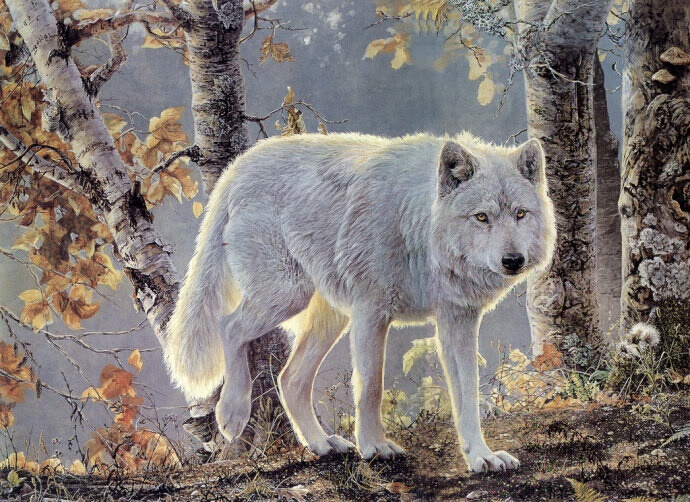 姜戎（吕嘉民）名言被Mojo收藏到狼图腾