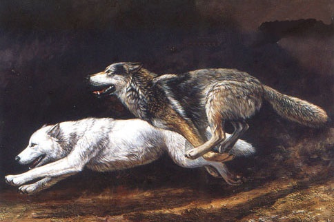 姜戎（吕嘉民）名言被Mojo收藏到狼图腾