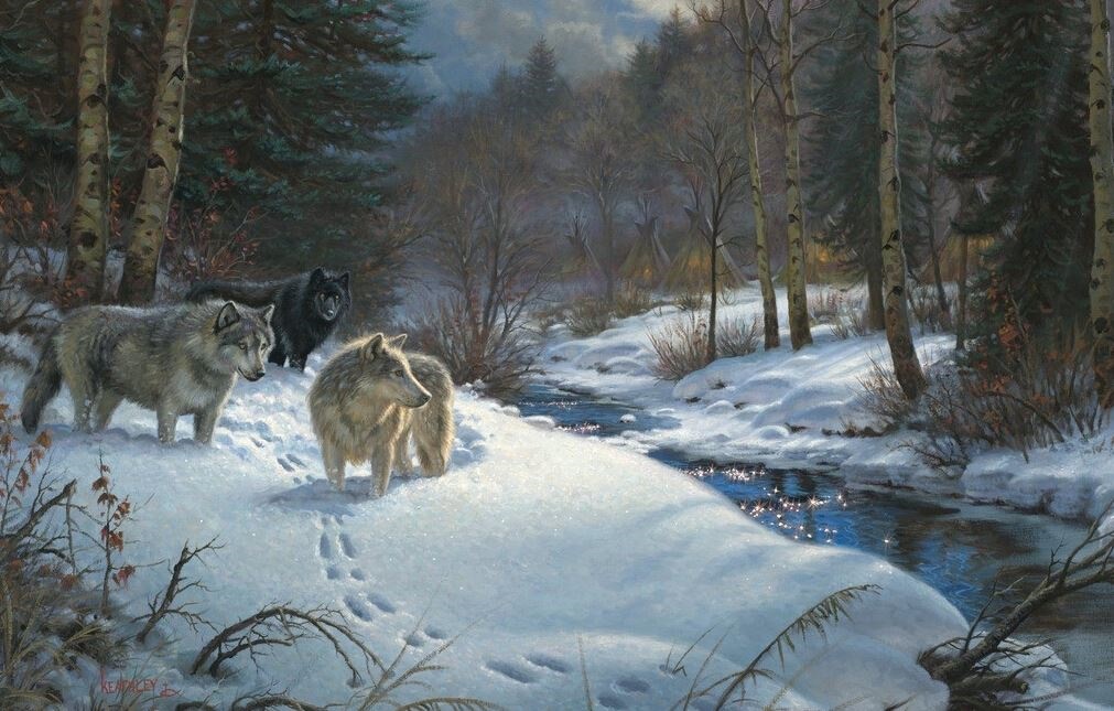 姜戎（吕嘉民）名言被Mojo收藏到狼图腾