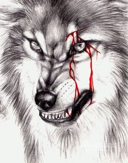 姜戎（吕嘉民）名言被Mojo收藏到狼图腾