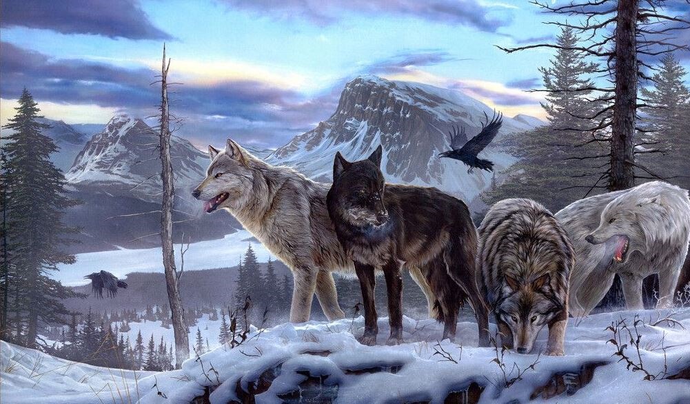 姜戎（吕嘉民）名言被Mojo收藏到狼图腾