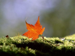 齐豫名言被时尚先生收藏到人生体会